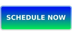 Schedule with best home inspector now